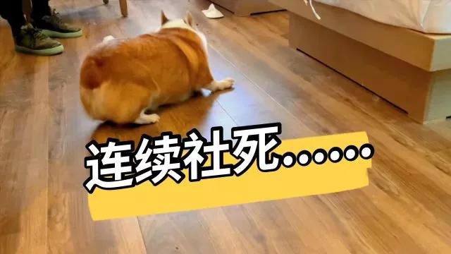 止汗露去汗测评,什么样的止汗露好闻又好用