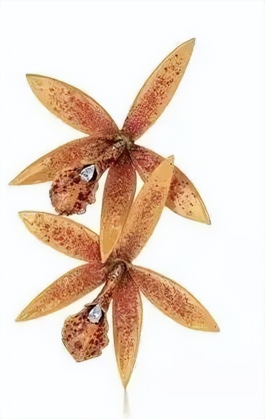 作品特火人不火?这次终于藏不住了!给你深扒这位低调传奇大师