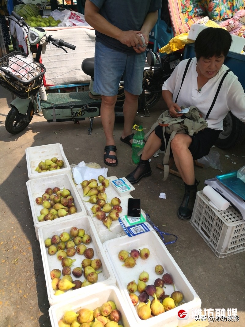 每天必去的农贸市场,农贸市场的慢游记