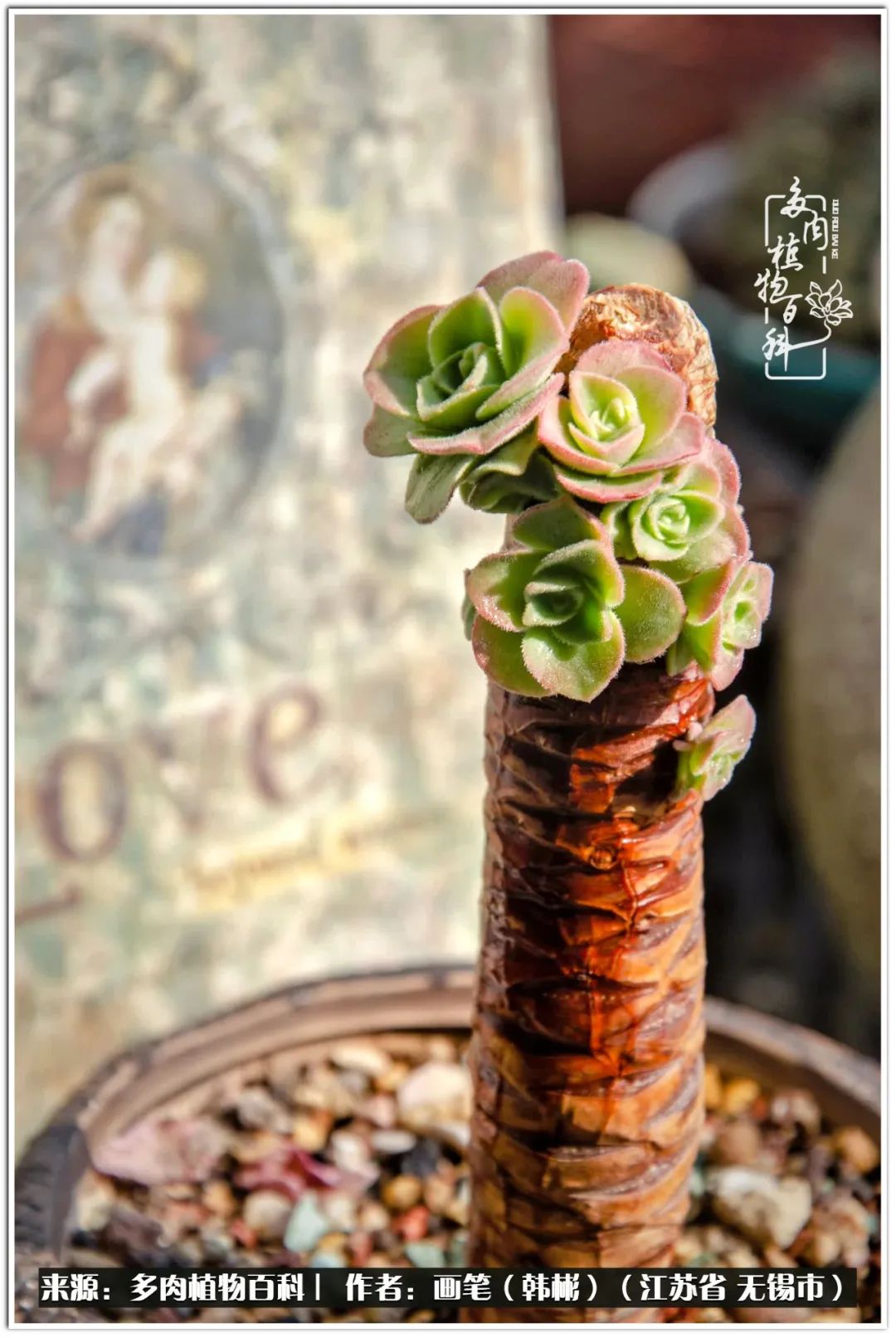 每个人的身旁都要有太阳,每个人都有一颗太阳