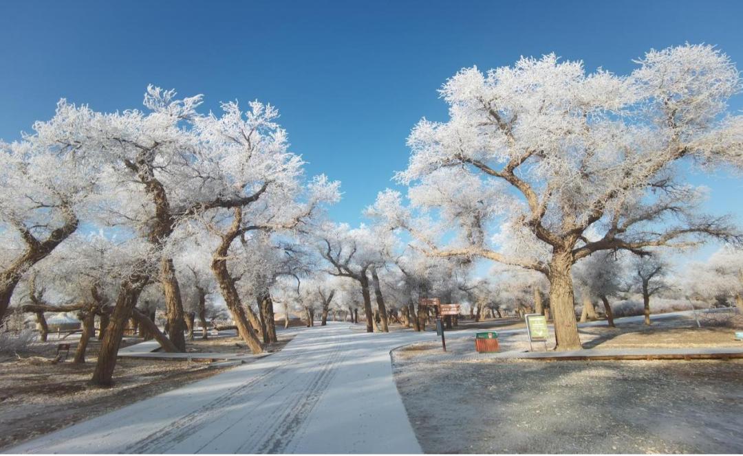 新型冰雪游内蒙古,内蒙古冰雪旅游优惠