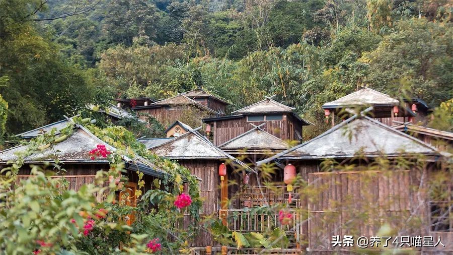 英德野渡谷轻奢民宿,清远住在山里的民宿