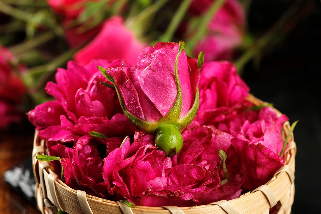 家里有一片地种菜,家里有块空地该种什么果蔬