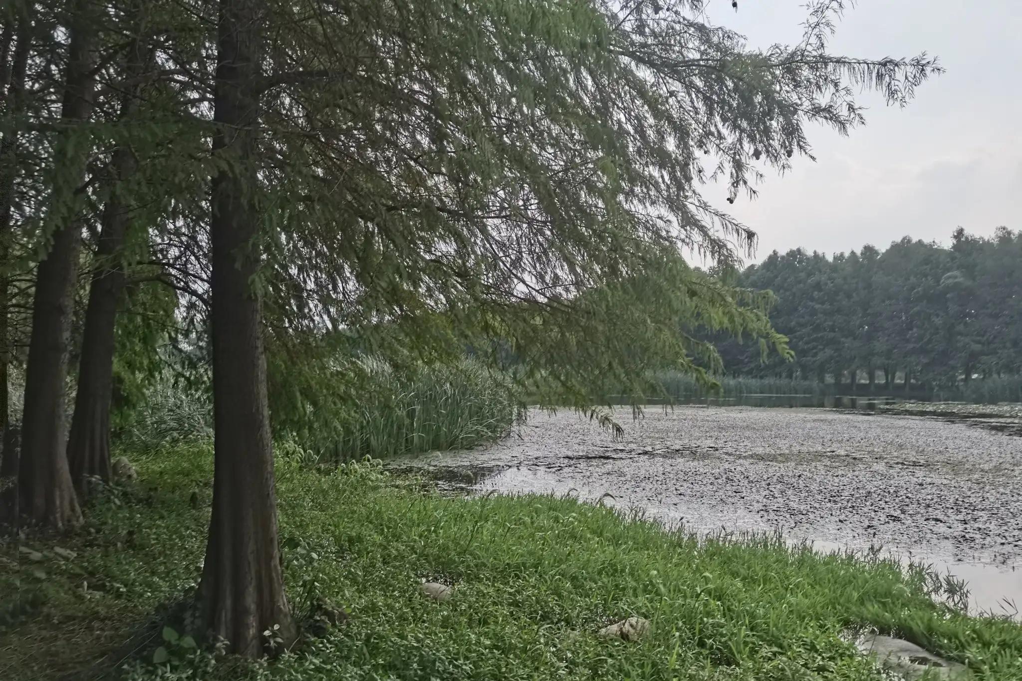 在头条上发布的第一篇文章收益让我激动不已，跟大家分享一下经验