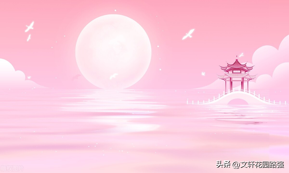 关于中秋节或带有月的古诗词,中秋月月到中秋偏皎洁赏析