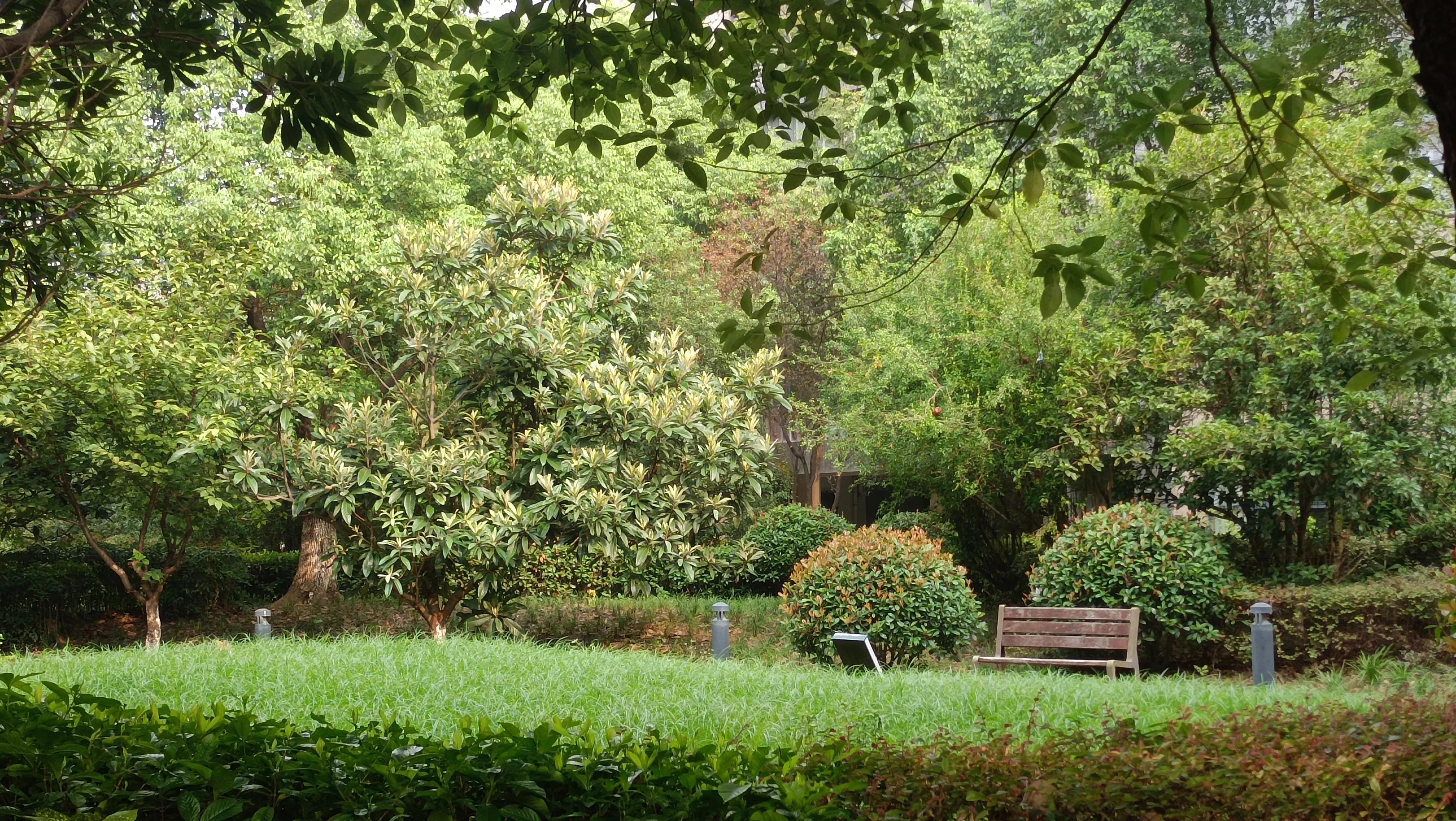 运动神经元病是什么样的,运动神经元病是什么现象