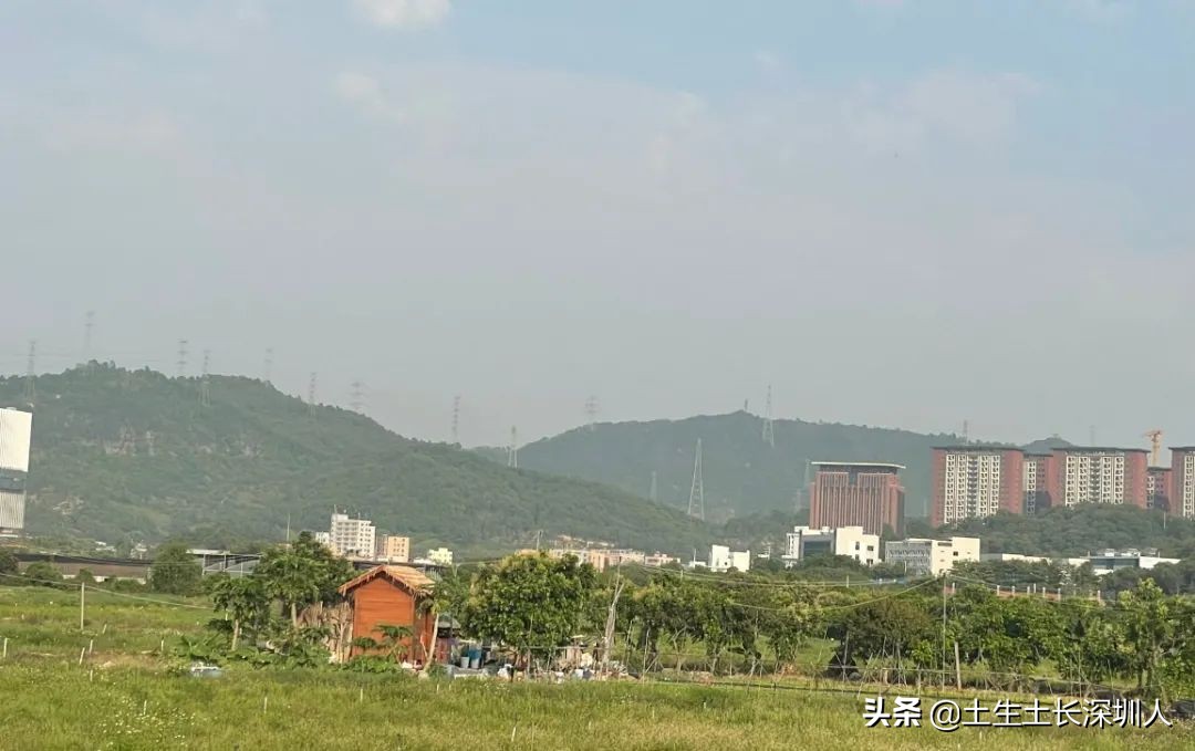 深圳的地名,深圳地名搞笑