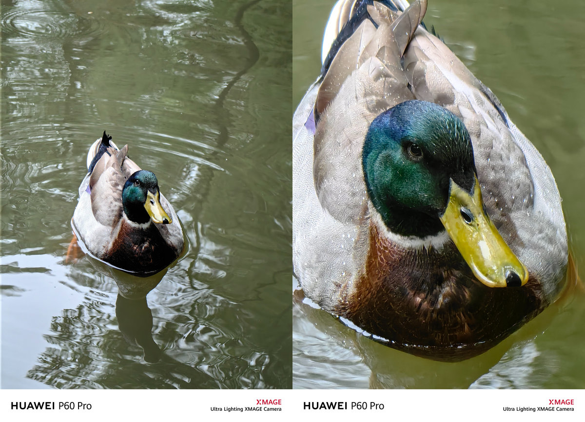 鍗庝负p60pro灞忓箷璇勬祴鎶ュ憡,鍗庝负p60pro娣卞害娴嬭瘎