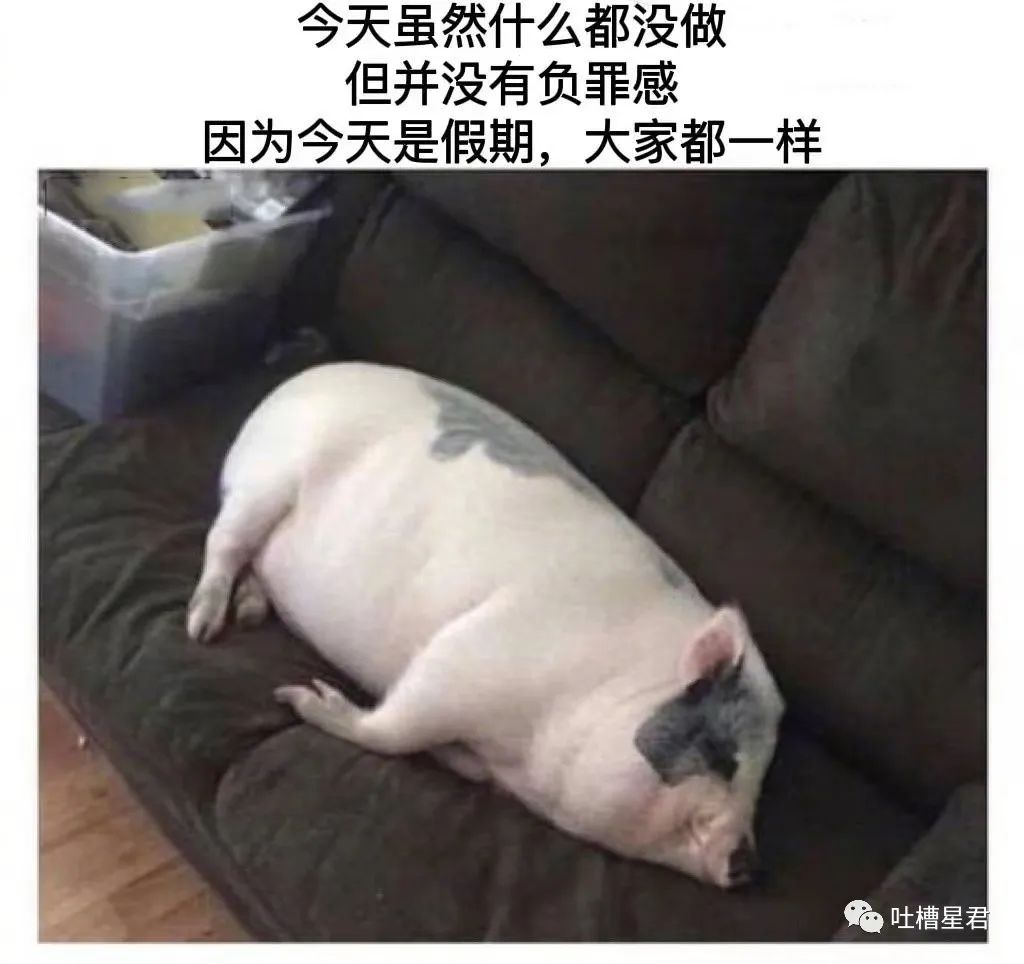 买爱马仕被看不起,花五十多万买爱马仕