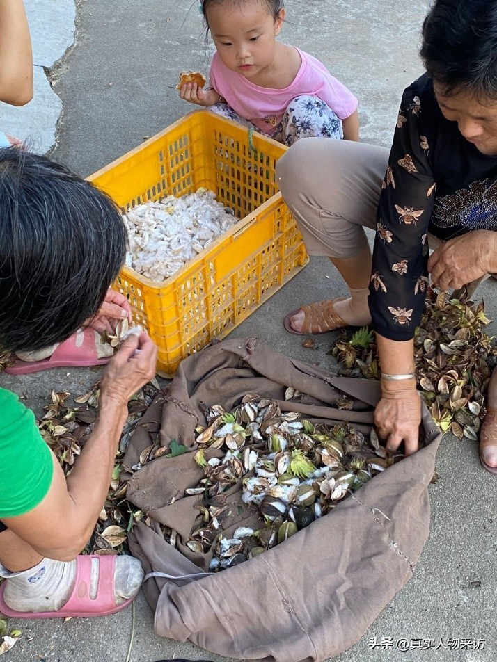 我，湖北人，国企躺平的咸鱼，摆地摊走上生意路，35岁退休当地主
