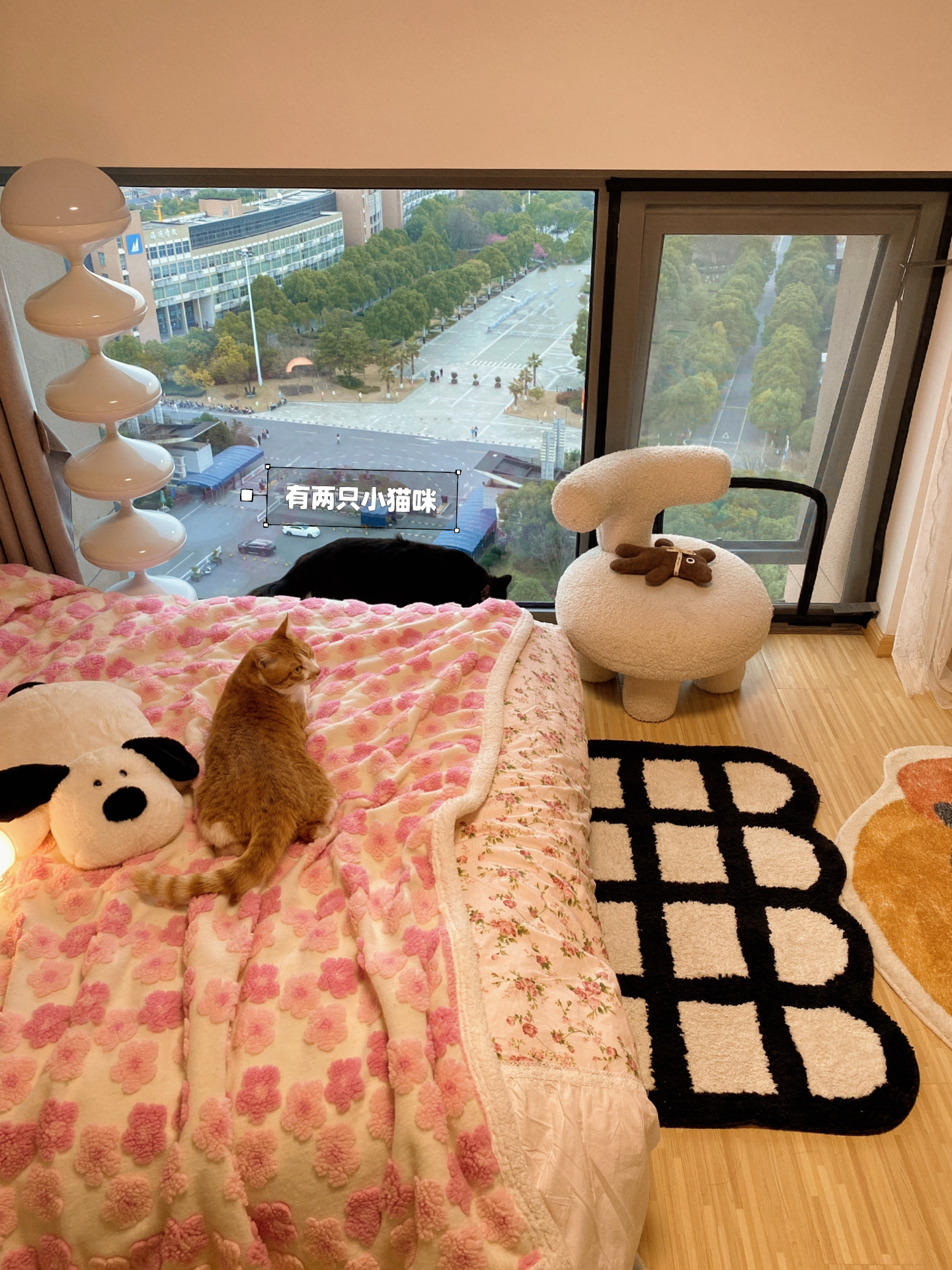 浙江女生晒出40㎡小家，独居养猫，日子过得惬意悠闲，令人羡慕