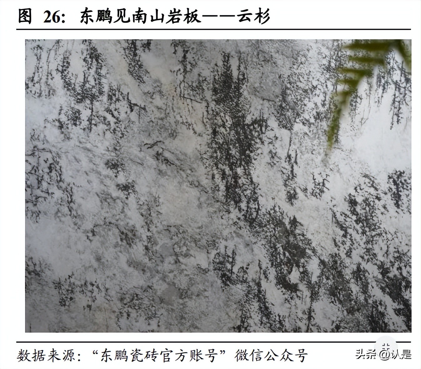 东鹏控股q1预计业绩,东鹏控股估值预测表