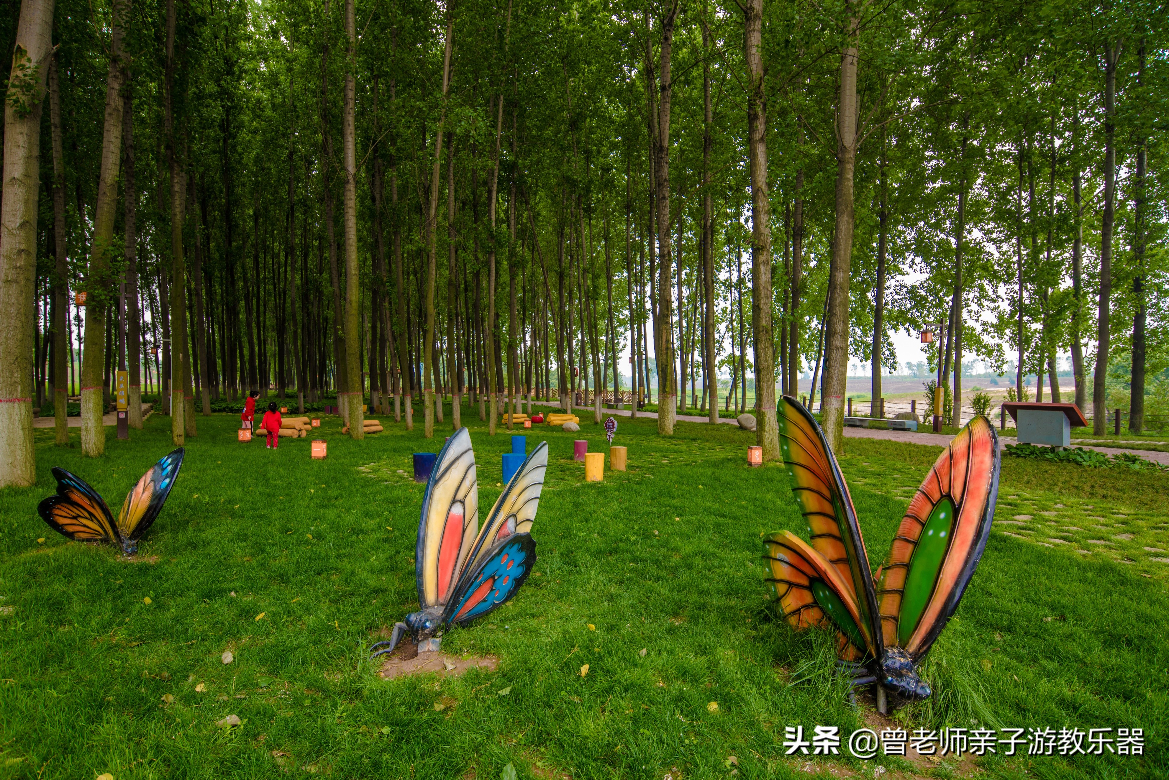 2022西安遛娃一日游的绝佳去处,2022年春节西安遛娃去哪玩最合适