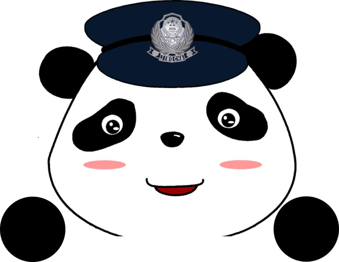 反诈宣传周记,反间谍法的周记