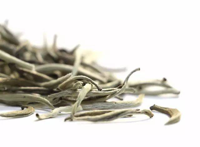 月光白云南白茶,云南月光白茶价格