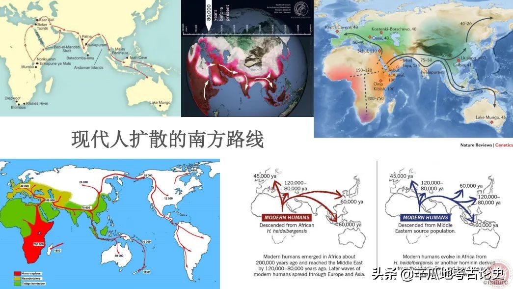 李锋的所有视频,李锋百科简介