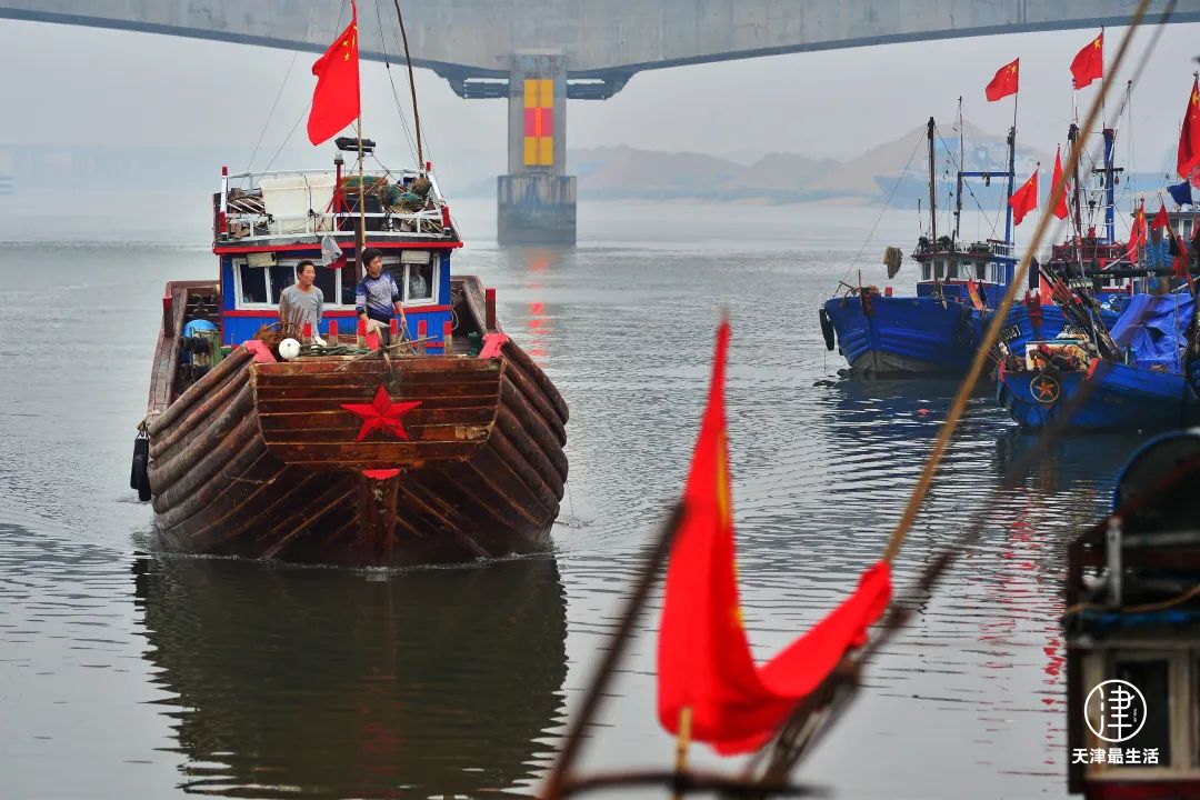阳+34例！重磅好消息：开海，大波生猛海鲜来袭！天津人有多会吃