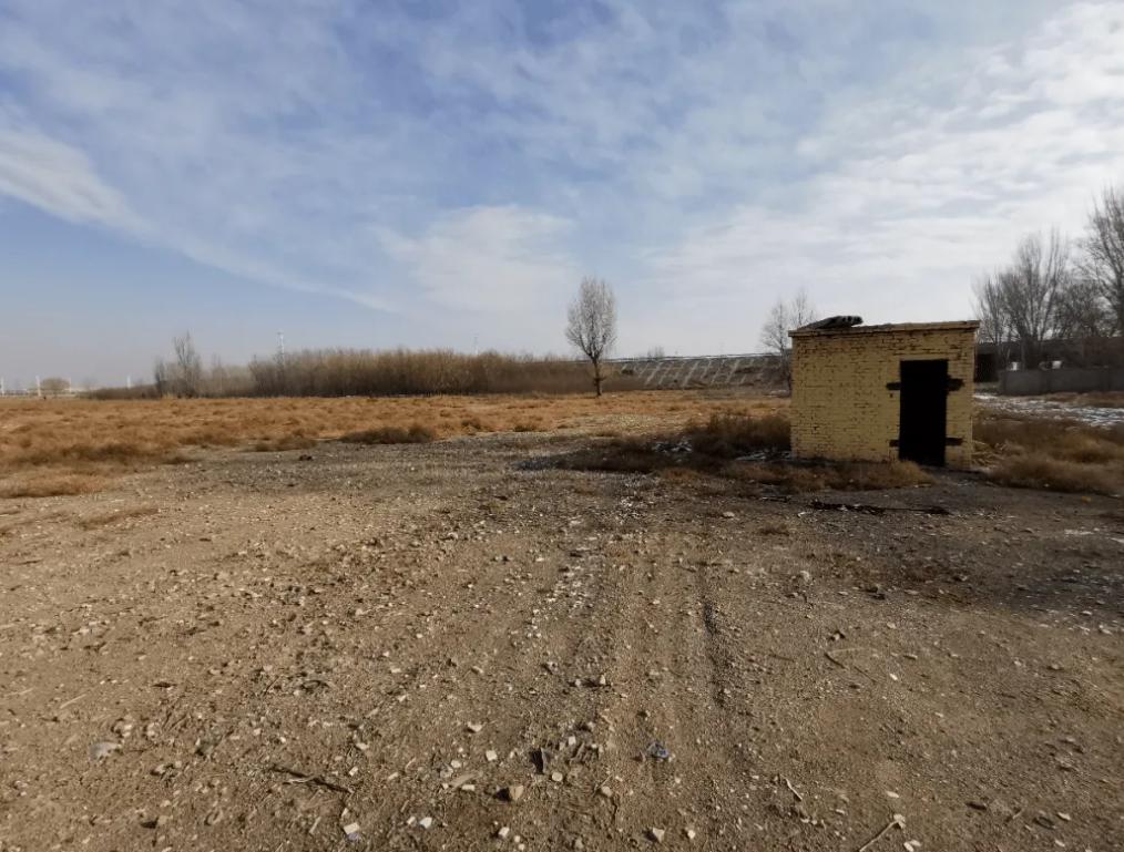 日本人山东租1500亩地的故事 (2006年日本人在山东租50亩地)