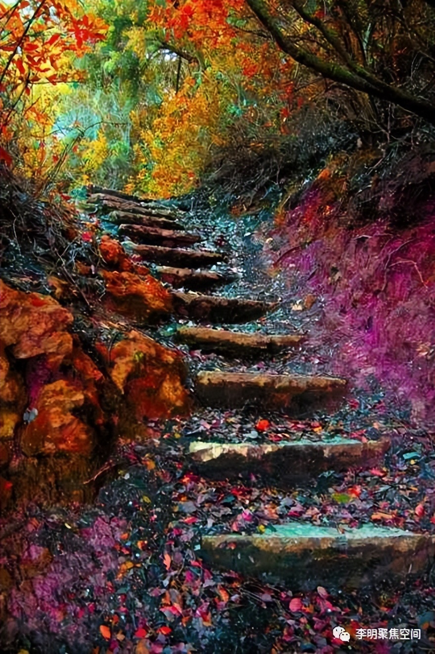 可以让来访者做聚焦吗？