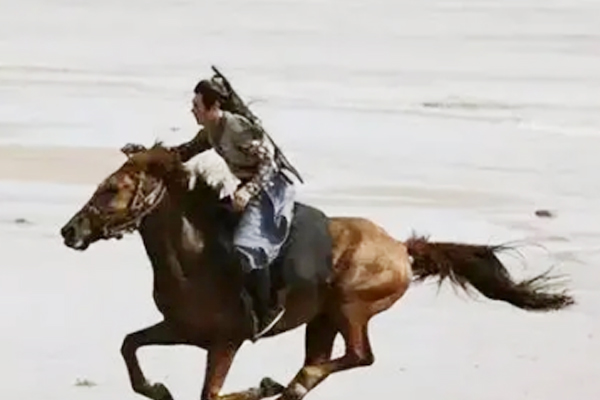 陈子昂怀才不遇的诗句,陈子昂最出名的诗句