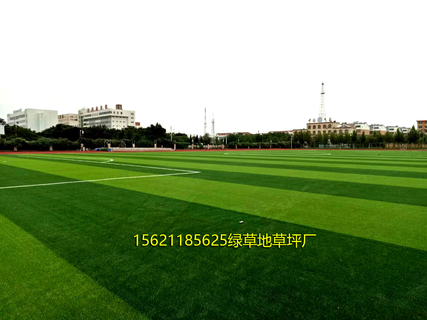 足球场草皮价格多少一平方新疆,足球场塑料草坪多少钱一平方