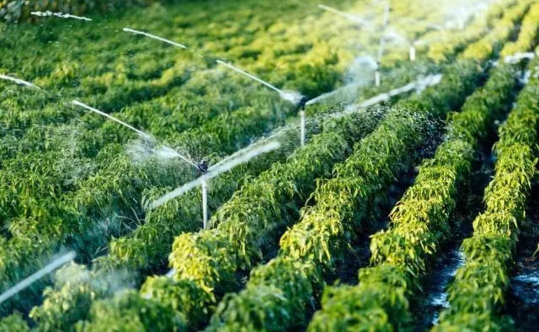 闰年闰月24节气怎么算出来的,二十四节气是什么人发明的