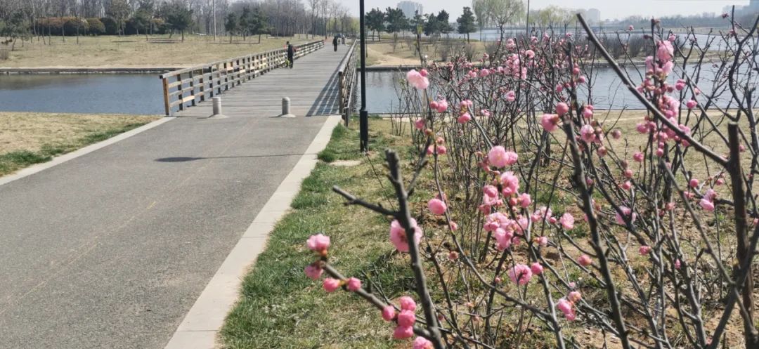 高新未来值不值得买,高新发展现在还值得购买么