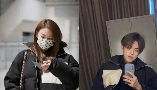 张雨绮被曝代孕生龙凤胎,张雨绮刀砍前夫事件是真的吗