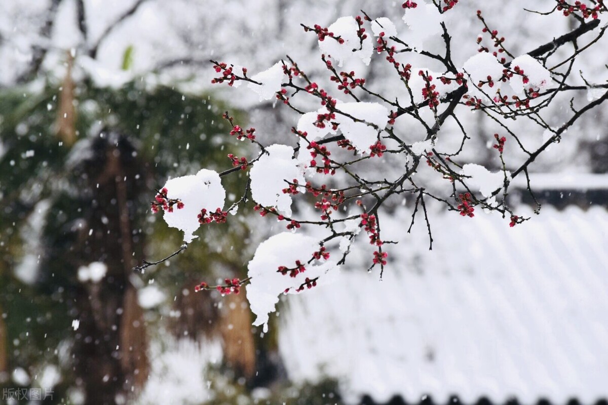 新年祝福语古风文案短句,古诗词新年祝福文案短句