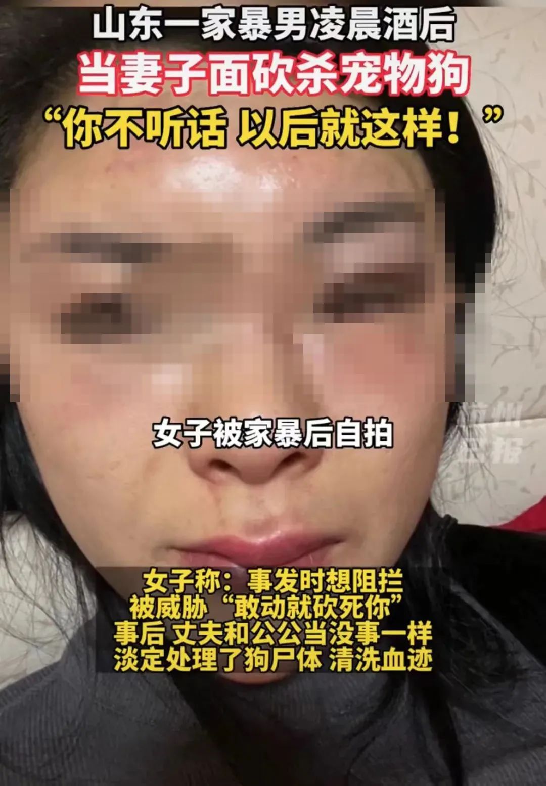 家暴男砍死柯基后续截图,家暴男砍死柯基后续