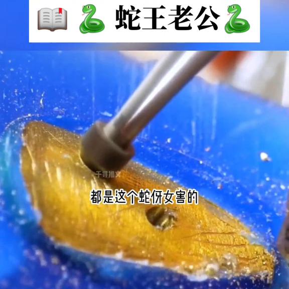 蛇王丈夫,蛇王电影中的人性有多可怕