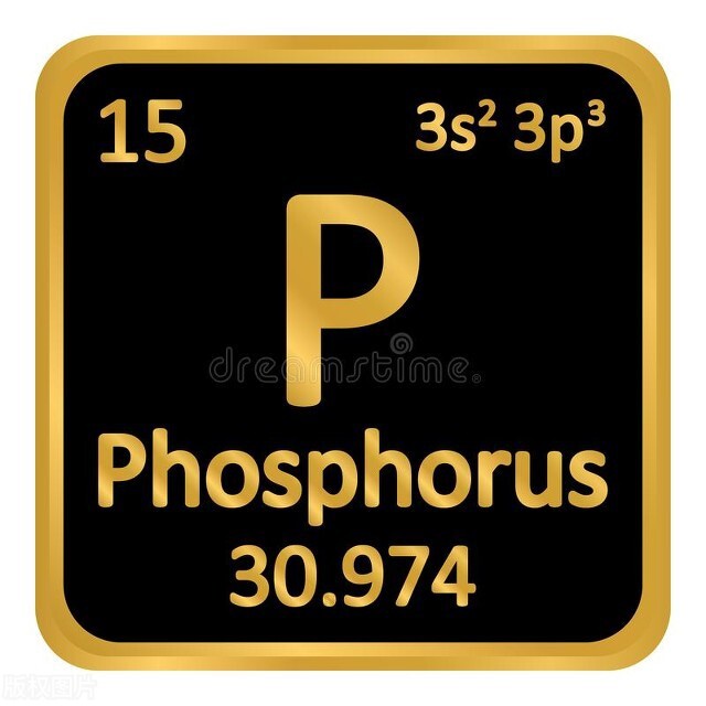 小学英语单词打卡,小学英语单词打卡小视频