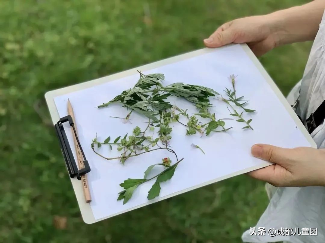 成都五一假期带孩子去哪里玩,五一成都带娃游