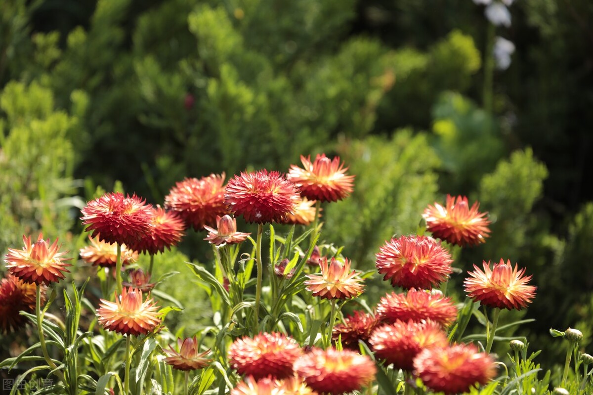 有种女人让男人爱到上瘾,4招轻松成为让男人上瘾的女人