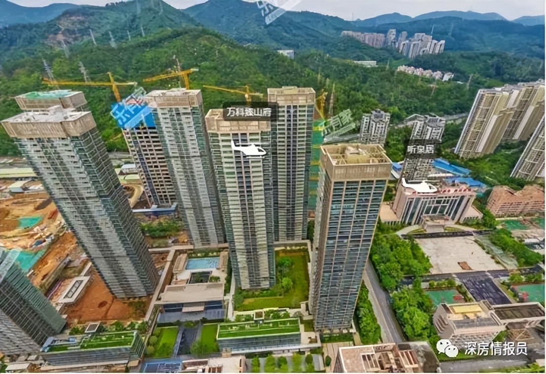 福田最好的学位是哪个楼盘,福田哪个楼盘学位房最好