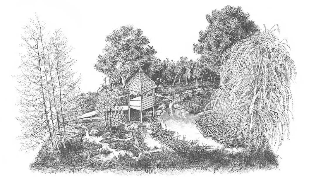 英国切尔西花展攻略,英国切尔西花展旅游策划