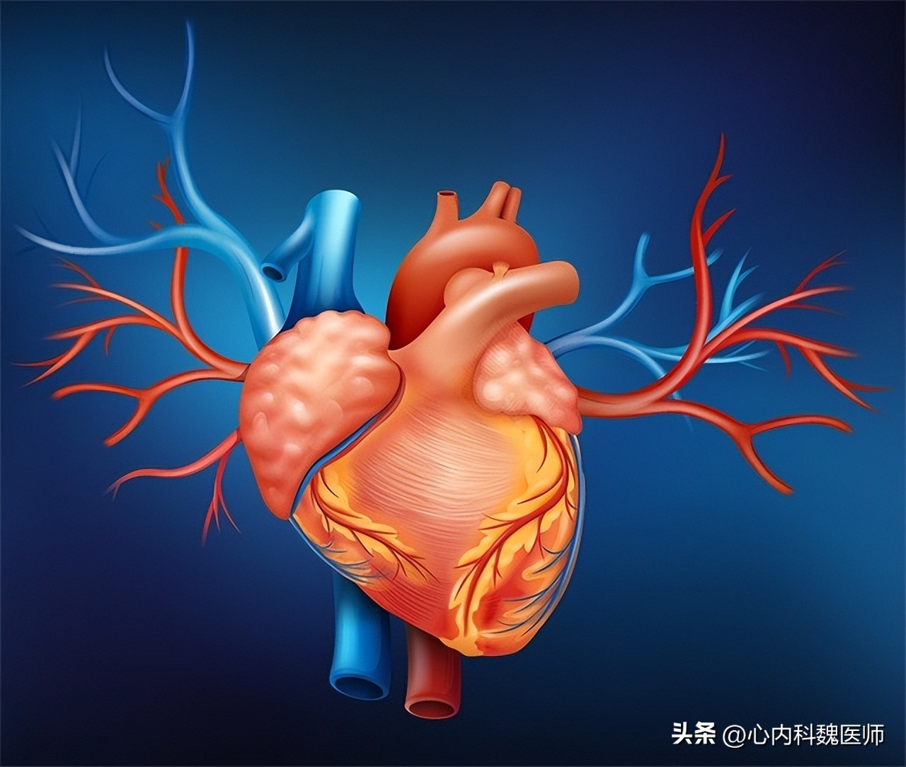 体检窦性心律正常心电图啥意思,体检报告显示窦性心律是什么意思