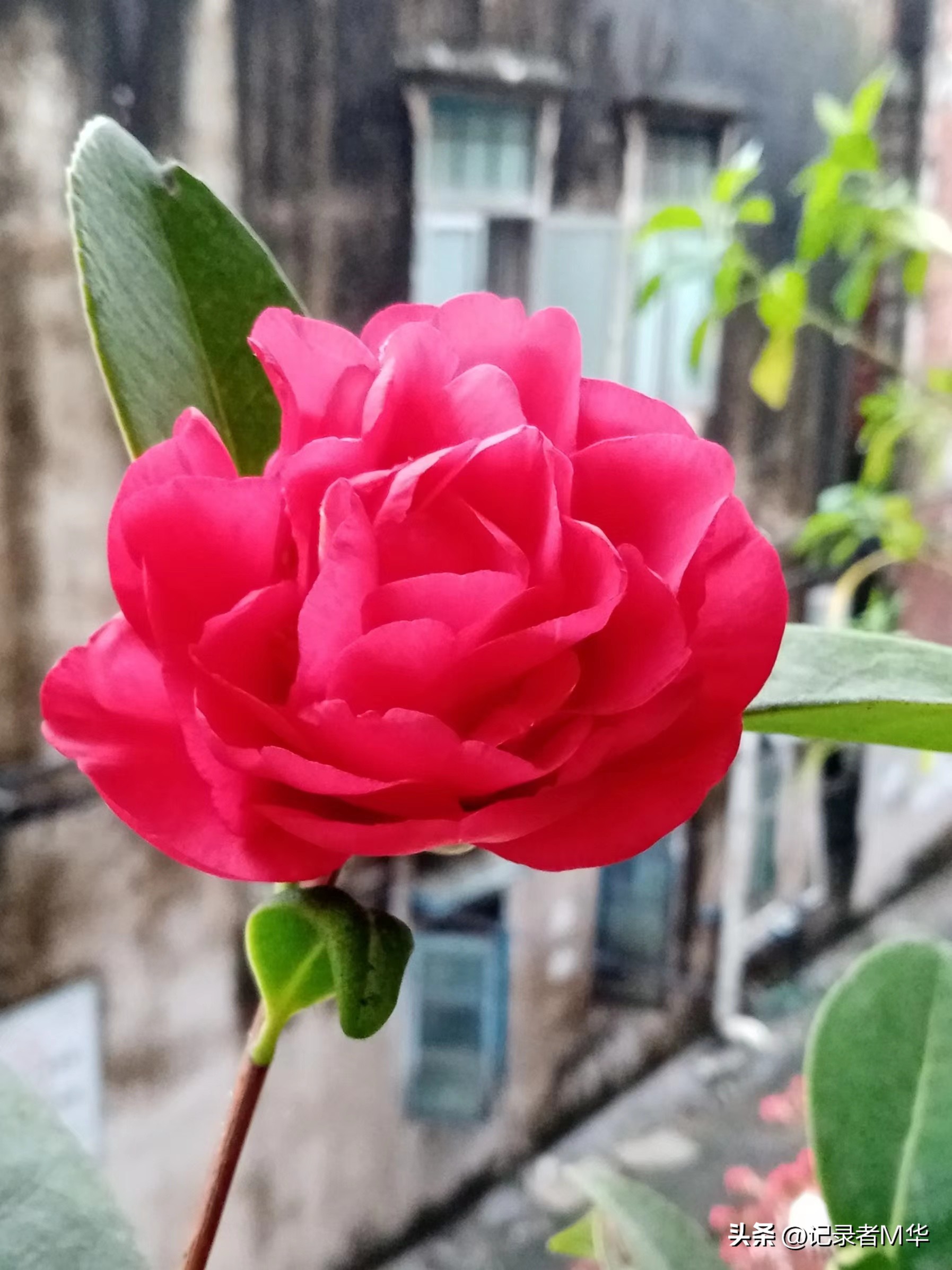 微信家长改群名段子,学生家长修改群名的笑话