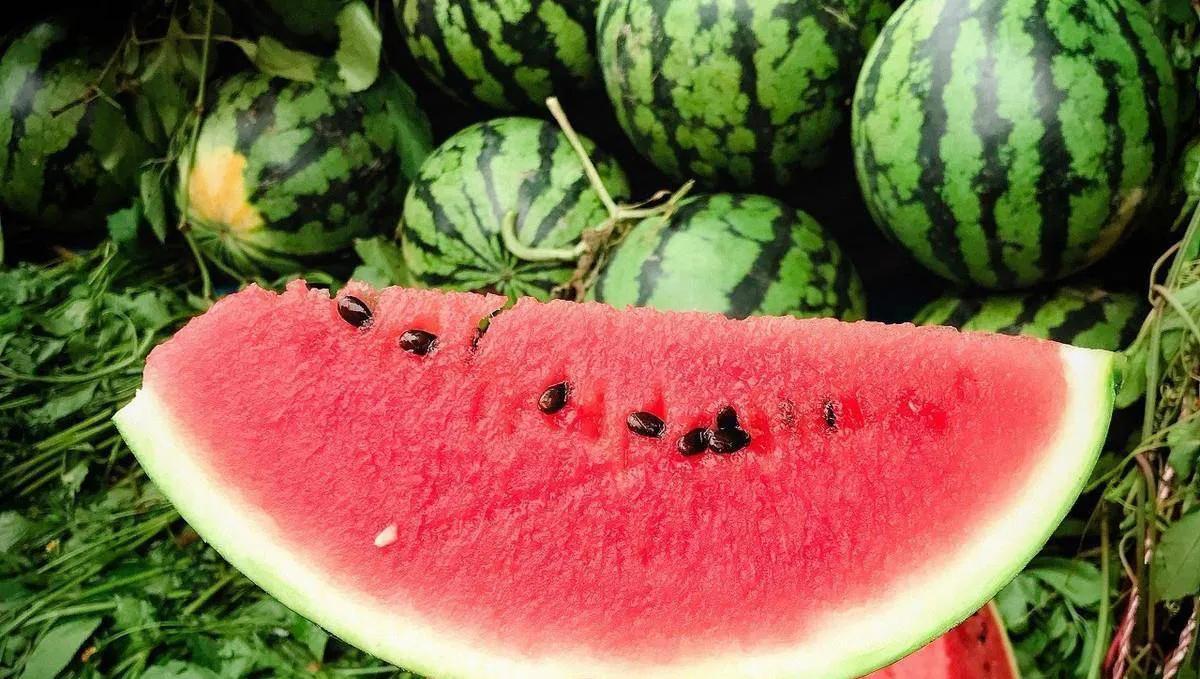 中国八个西瓜之乡,中国十大西瓜之乡名单