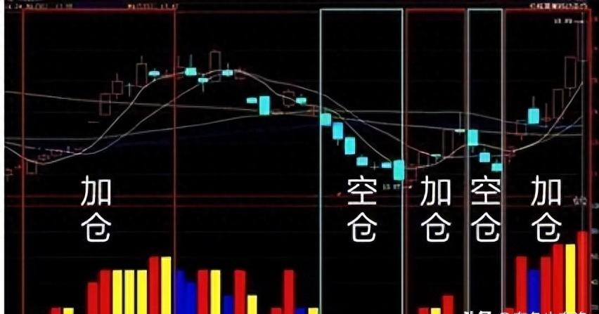 献给所有股票亏损的人,写给所有在中国亏损的散户