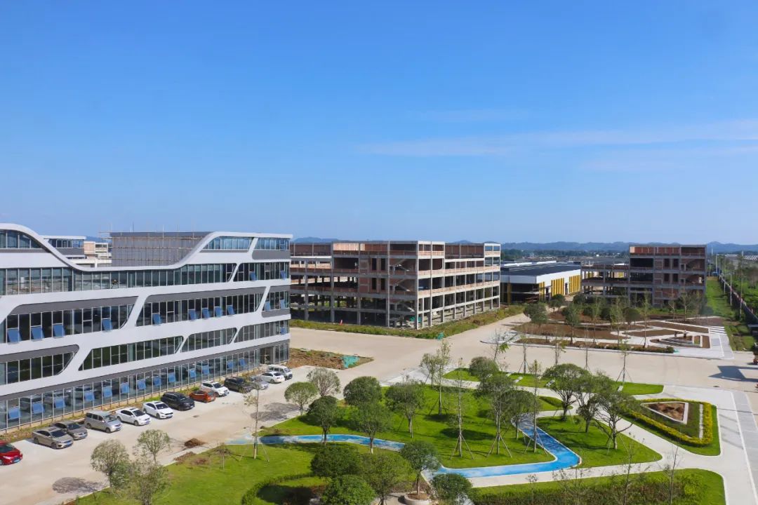 非凡十年强军,非凡十年出彩中原