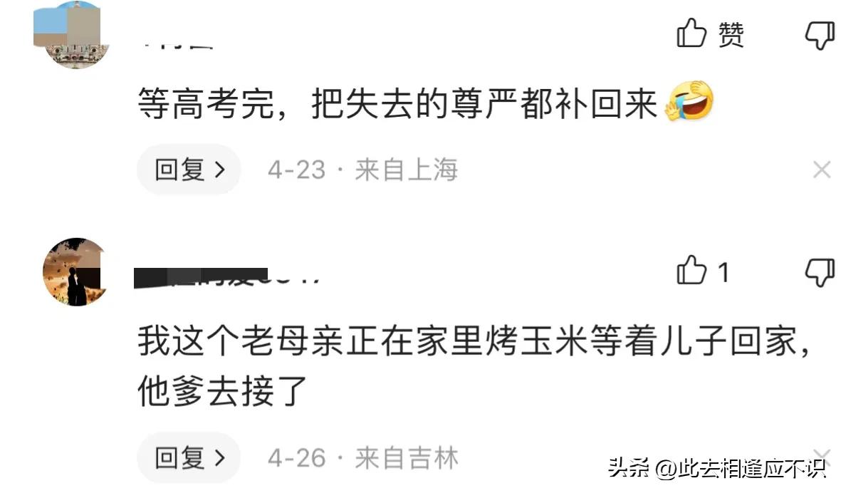 孩子读了高三家长是如此卑微,卑微的高三家长们可以喘口气了不