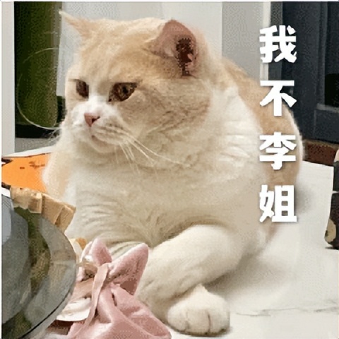 遛机械狗兼职,遛机械狗