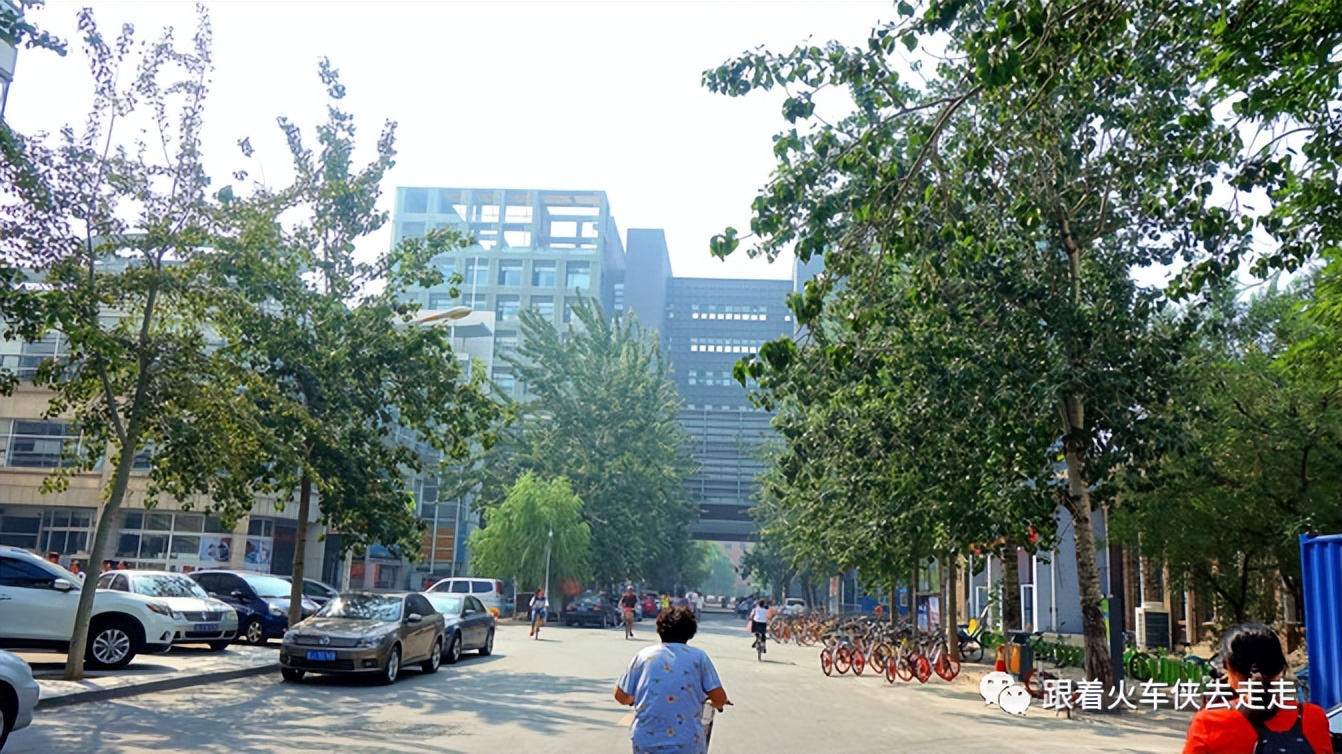 老天津读历史，新天津新全运（四）——天津大学（下）