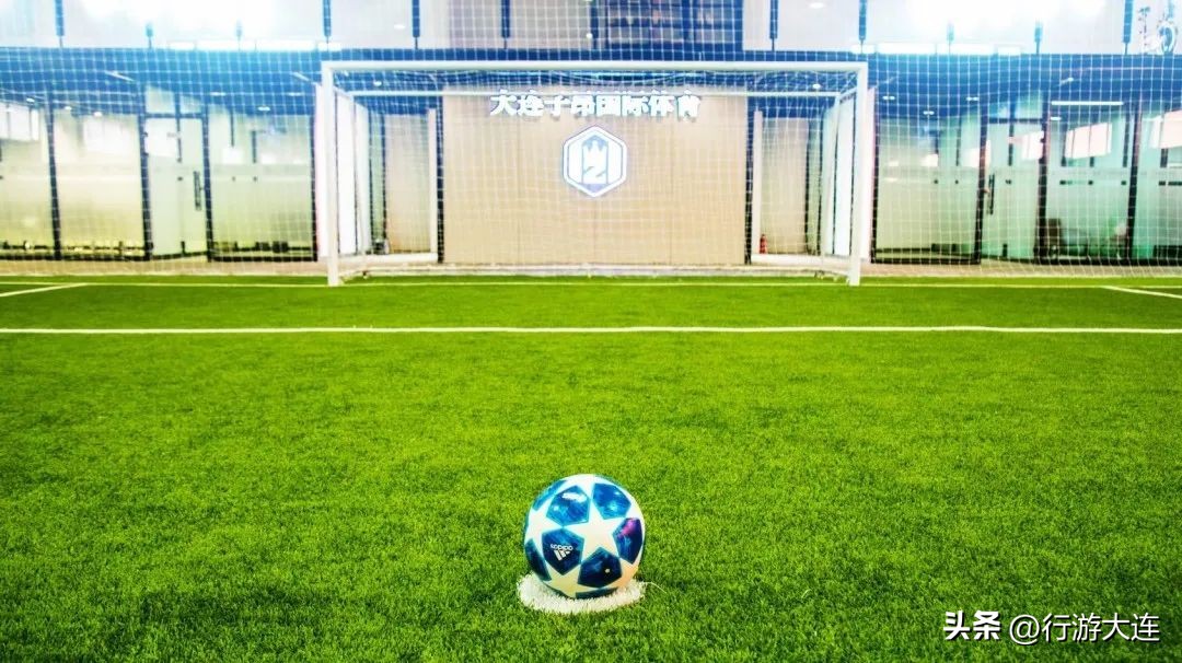 世界杯足球场比赛场地,大连世界杯专业足球场