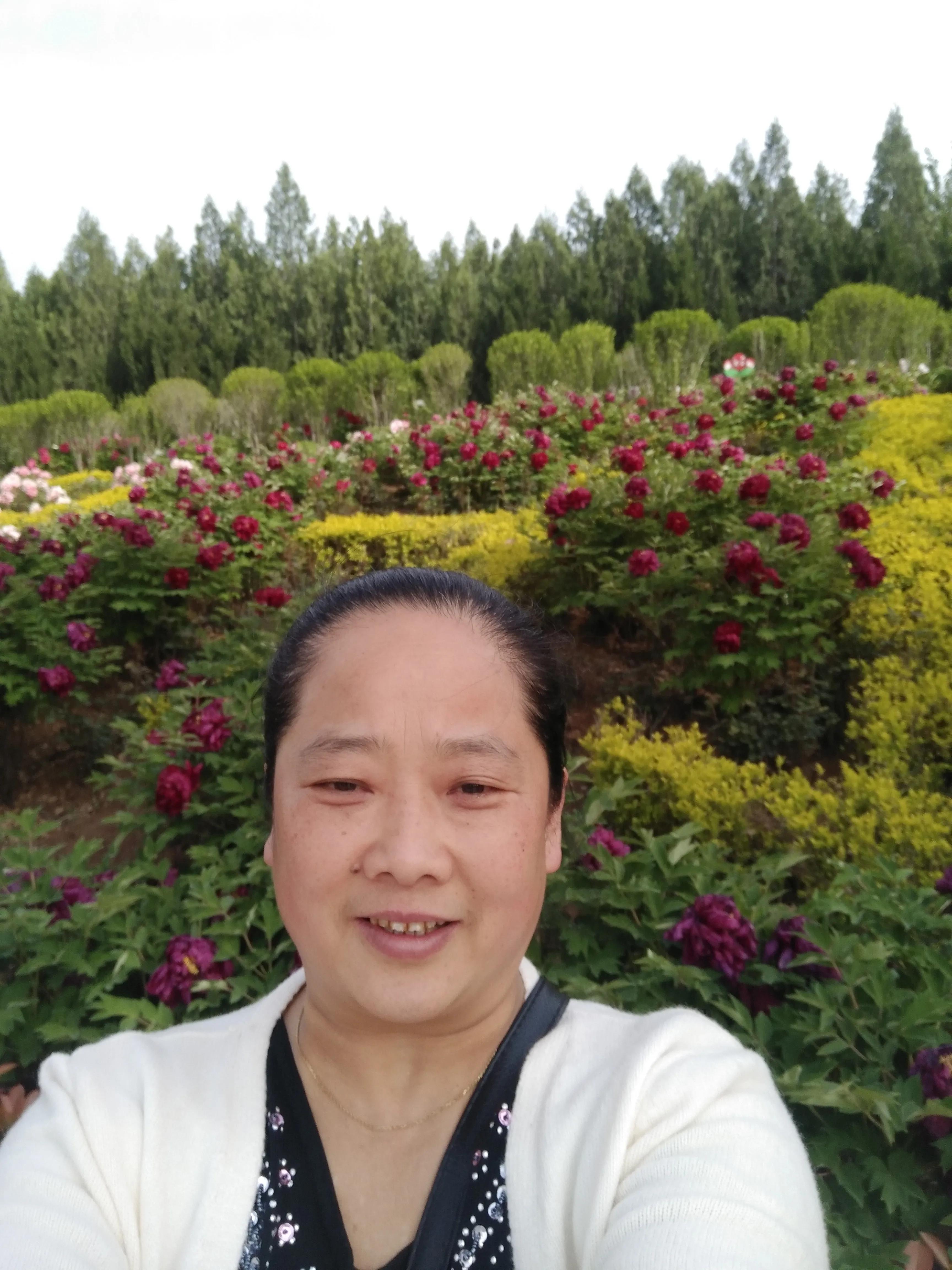 岳母在天堂一路走好,愿老岳母在天堂一路走好