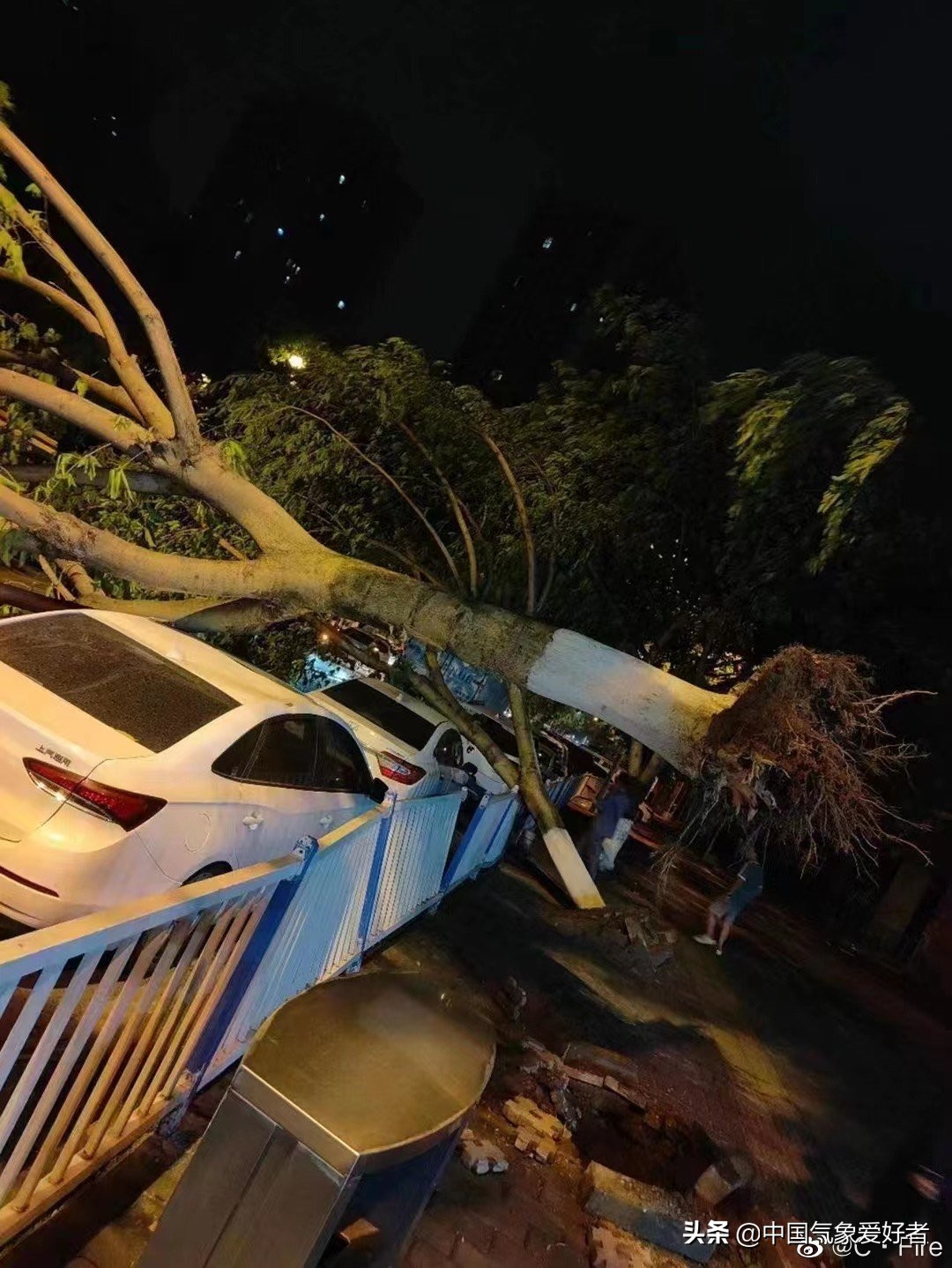 安岳13级算台风吗,四川安岳县刮台风了吗