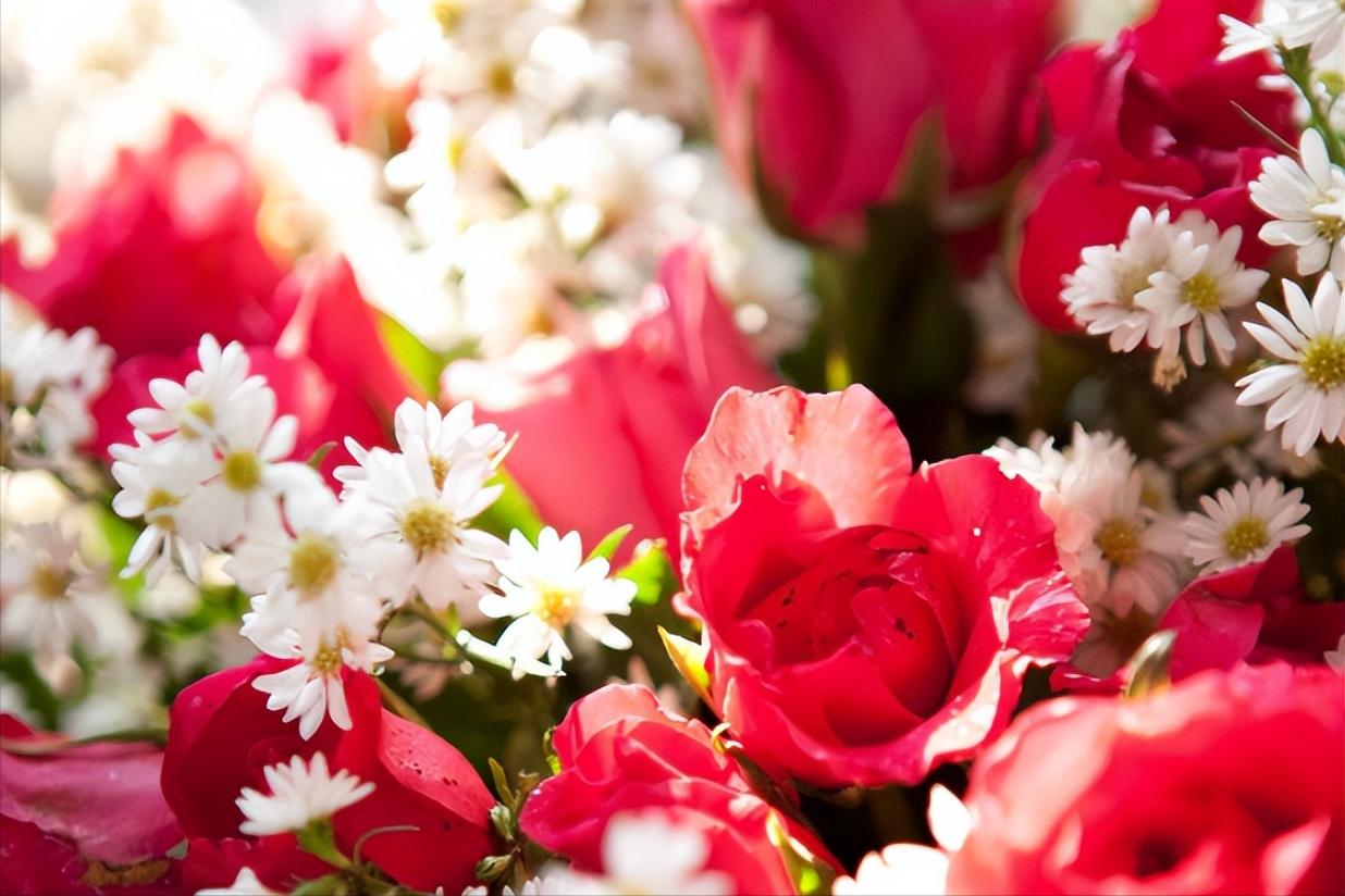 女性*处私**的润滑液是如何产生的？如何改善*处私**干燥？医生告诉你