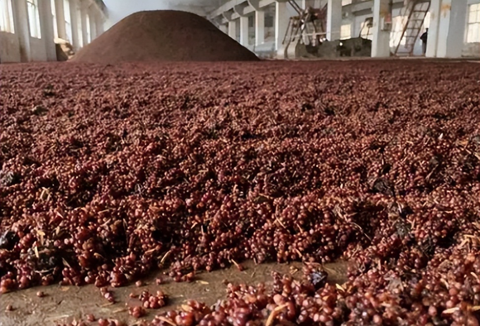 茅台王子和飞天迎宾哪个更像飞天,茅台酒和迎宾酒的区别怎么选