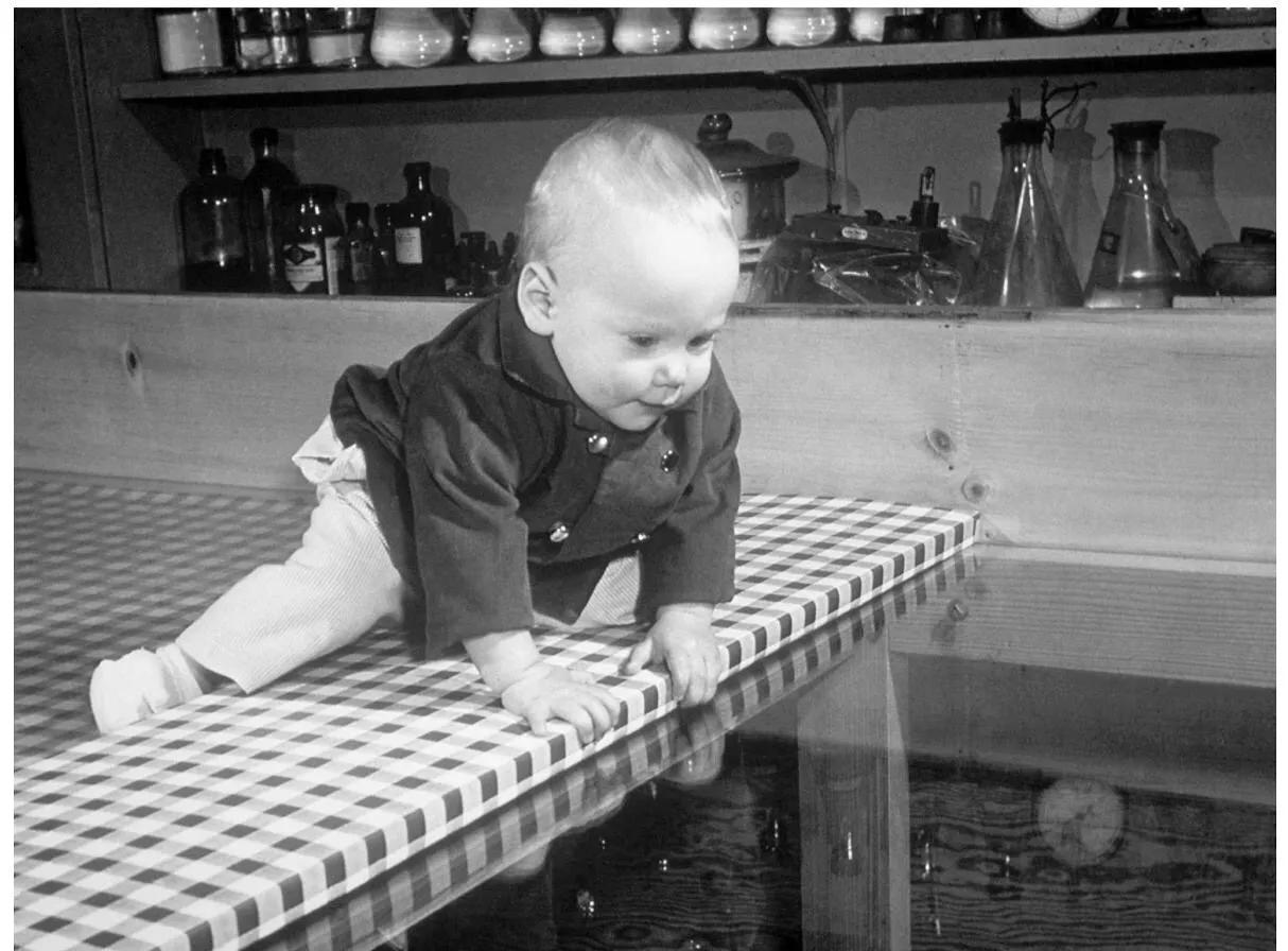 儿童成长心理学,育儿书籍0-6岁幼儿行为心理学